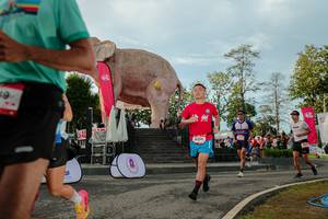 BIB: 
                            <button type="button" onclick="openModal(26529184)" class="btn btn-primary btn-sm float-right btn-popup" data-toggle="modal" data-target=".modal-high-quality">
                        <i class="fas fa-shopping-cart"></i> Add to Cart
                    </button>
                                            <button type="button" onclick="isThisMe(26529184, true)" class="btn btn-success btn-sm float-right btn-popup btn-isme hidden" data-toggle="tooltip" data-placement="bottom" title="นี่คือรูปของคุณใช่ไหม คลิกที่นี่เพื่อเอาเข้าอัลบั้ม">
                        <i class="fas fa-plus"></i> Add to album
                    </button>
                    <button type="button" onclick="isThisMe(26529184, false)" class="btn btn-warning btn-sm float-right btn-popup btn-isnotme hidden">
                        <i class="fas fa-ban"></i> Remove from album
                    </button>